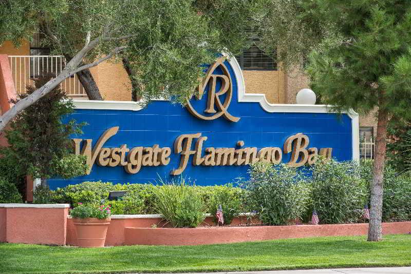 Westgate Flamingo Bay Resort Las Vegas Dış mekan fotoğraf